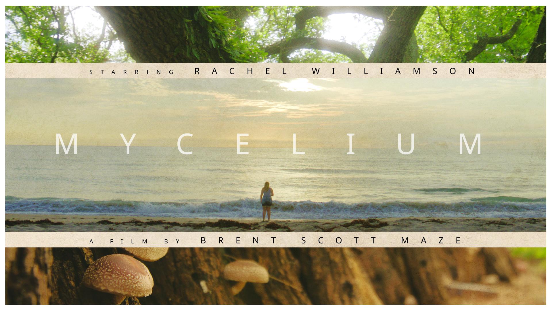 MYCELIUM