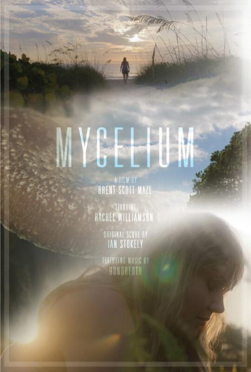 MYCELIUM