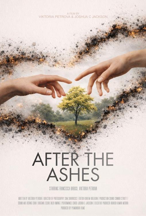 After The Ashes